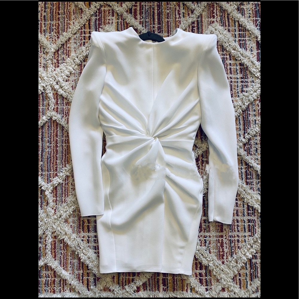 Alex Perry dress
